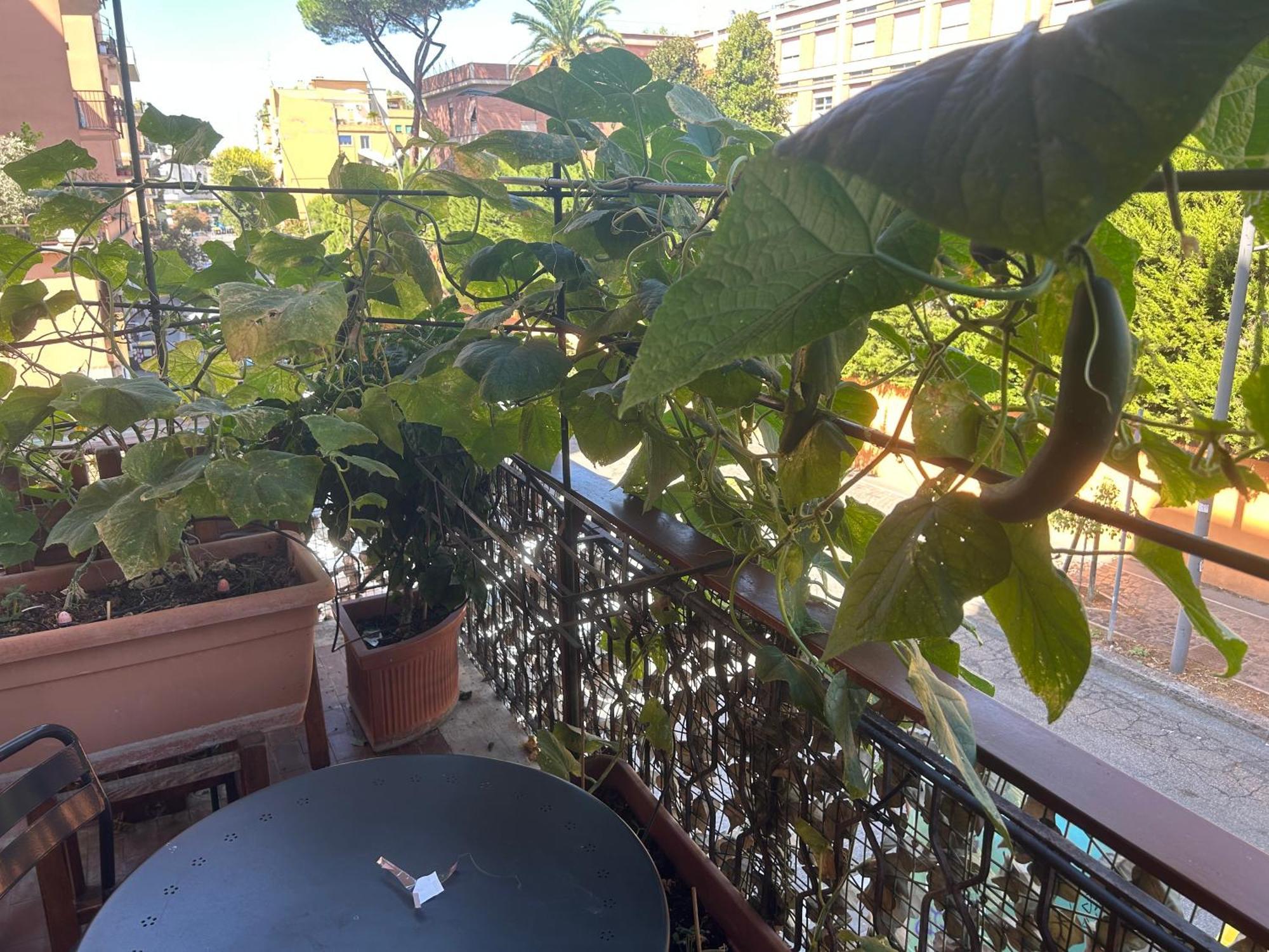 La Fontana Di Carlotta Bed and Breakfast Ρώμη Εξωτερικό φωτογραφία