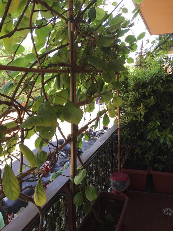 La Fontana Di Carlotta Bed and Breakfast Ρώμη Εξωτερικό φωτογραφία