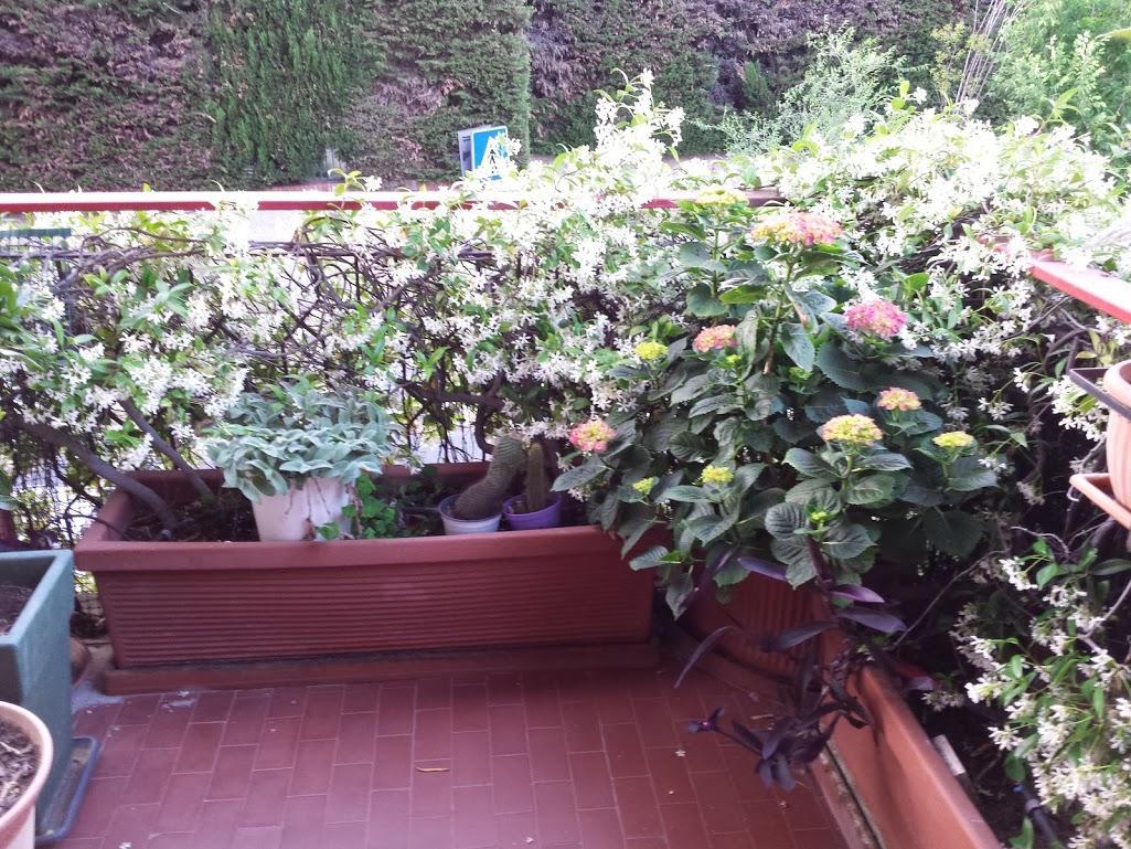 La Fontana Di Carlotta Bed and Breakfast Ρώμη Εξωτερικό φωτογραφία
